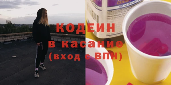 стаф Верея