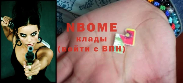 стаф Верея