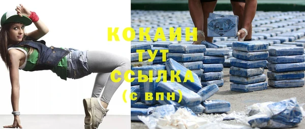 амф Верхний Тагил